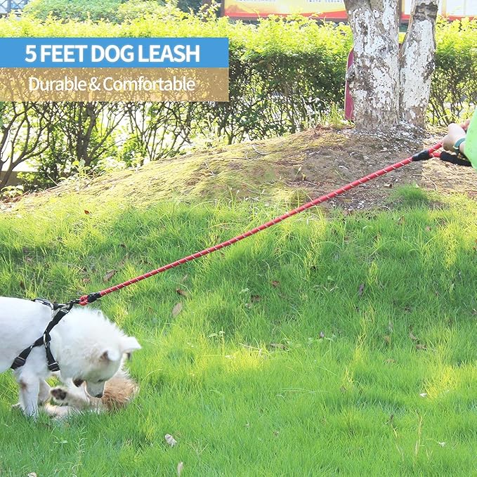 BAAPET 2/4/5/6 FT Dog Leash with Comfortable Padded Handle and Highly Reflective Threads for Small Medium and Large Dogs (5FT-1/2'', Red)