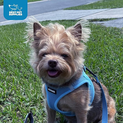 Best Pet Supplies Voyager Step-in Air Harness - All Weather Mesh, Reflective, No Pull Harness for Dogs, Cats - Secure with Hook & Loop Fastener, Buckle, Double D-Rings - Baby Blue, L
