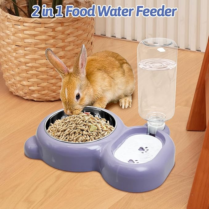 Tfwadmx Double Rabbit Bowls Cat Automatic Feeder with Gravity Water Bottle No Spill Detachable Dog Stainless Steel Bowl Set for Bunny Puppy Kitty Kitten Ferret Squirrel