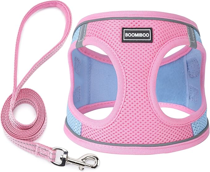 Dog Harness with Leash Set, No Pull Adjustable Reflective Step-in Puppy Pet Vest Harnesses for Small Medium Large Dogs and Cats,Pink Green XS
