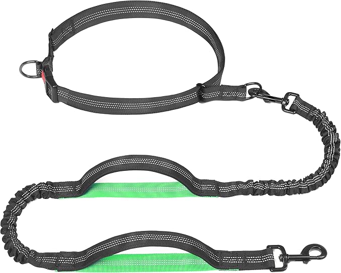 Hands Free Dog Leash for Running, Walking, Hiking, Durable Dual-Handle Bungee Leash with Reflective Stitching and an Adjustable Waist Belt, for Up to 150 lbs Large Dogs (Medium/Large, Black)
