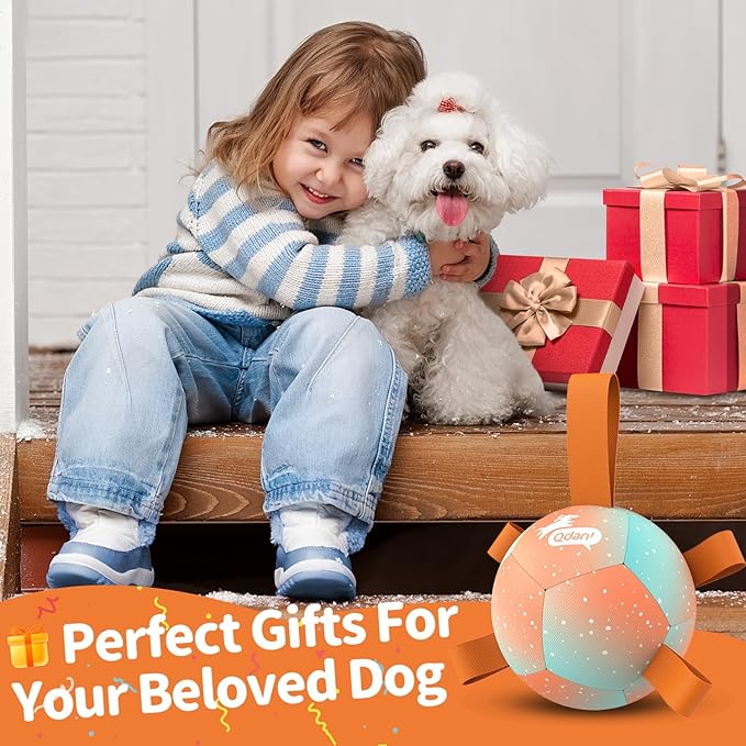 QDAN Small Dog Balls: Dog Soccer Ball with Straps- Premium Dog Toys Balls- Puppy Outdoor Dog Toys Pet Training Ball Birthday Gifts for Small Dogs- Rainbow Orange (5 Inch)