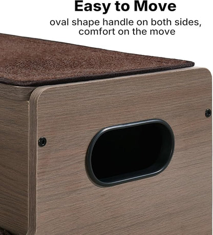 Veehoo Wooden Dog Steps for Bed Couch with Storage 18"H 20"W, 2 Step Pet Stairs for Dogs to Get on Bed with Non Slip Rug, Jiont Friendly Pet Cat Stairs Puppy Doggy Ramp Ladder for Small to Large Dogs