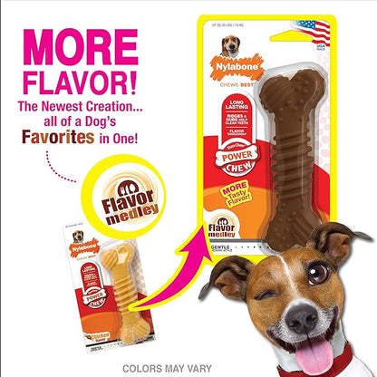 Nylabone Groove Bone Power Chew Toy for Dogs, Dental Dog Toys for Aggressive Chewers, Dog Chew Bone, Long Lasting Flavor Medley Flavor, For Medium Dogs - Up to 35 lbs, 1 Count
