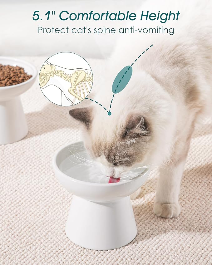vancasso Elevated Cat Bowls 2-Pack, Ceramic Raised Cat Food and Water Dishes with 5.1" Height & 6.2" Wide Opening - Anti Vomit, Whisker Fatigue Relief for Senior Cats, and Small Dogs (White)
