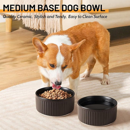 Non-Slip Ceramic Dog Bowls,6" Dog Food and Water Bowl Set with Silicone Base, 32oz/4cups Weighted Flip-Proof Pet Feeding Bowl for Medium Dogs (Medium,Black)