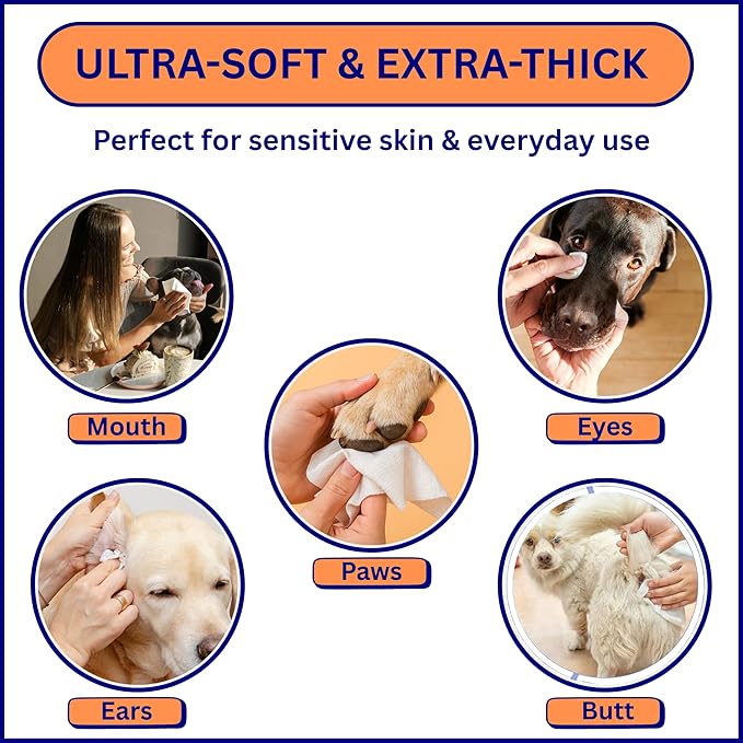 Aurora Pet Grooming Wipes – 400 Extra-Large Wipes for Dogs & Cats | Plant-Based, Hypoallergenic & All-Natural | Alcohol, Paraben & Sulfate-Free | Unscented