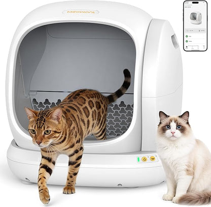 Meowant Self Cleaning Cat Litter Box - Open-Top Automatic Litter Box with APP, 0 Risk of Stuck Cats, Safer Automatic Litter Boxs, Low Entrance for Multiple Cats