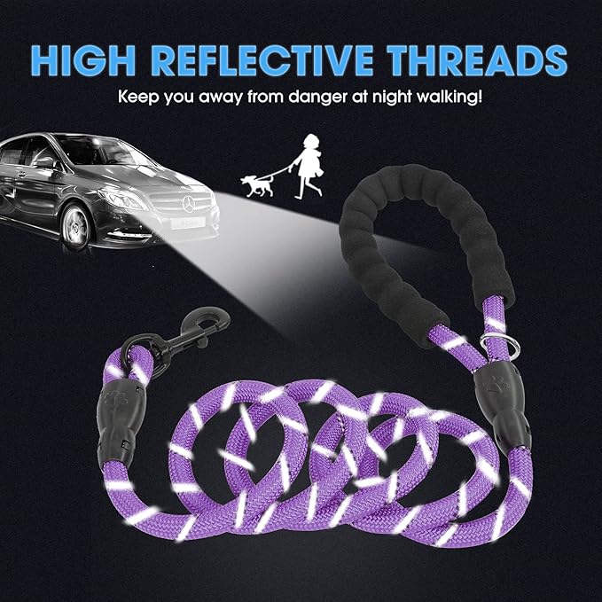BAAPET 2/4/5/6 FT Dog Leash with Comfortable Padded Handle and Highly Reflective Threads for Small Medium and Large Dogs (6FT-1/2'', Purple)