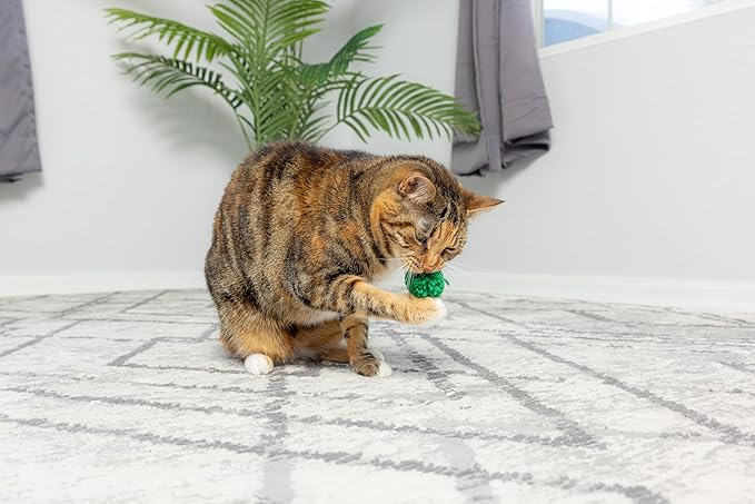 SPOT Wool Pom Poms Cat Toy - Interactive Wool Balls Cat Toy with Catnip for Cats and Kittens to Bite, Swat and Chase - 1.5 inch, 4 pcs