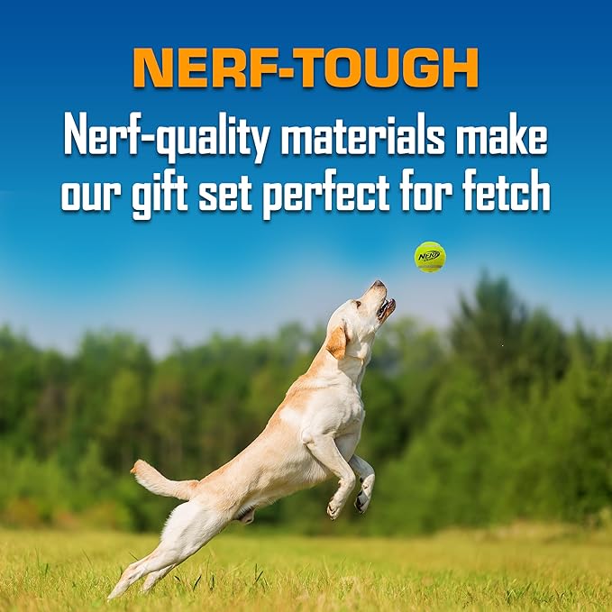 Nerf Dog Toy Gift Set, 5-Piece Set of Outdoor Dog Toys for Fetch, Includes 3 Squeak Tennis Balls and 2 Tire Flyers
