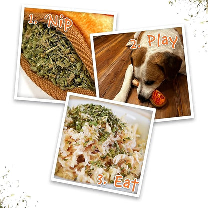 Doggijuana Tuffer Chewer Mini Plush Dog Toy | Funny Dog Toy Plush with Juananip Catnip for Dogs | Calming Aid for Dogs | Interactive Squeaky Chew Toy for Play (Corn Dog)