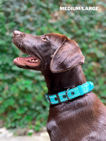 Heavy Duty Dog Collar With Handle | Ballistic Nylon Heavy Duty Collar | Padded Reflective Dog Collar With Adjustable Stainless Steel Hardware | Convenient Sizing for All Breeds