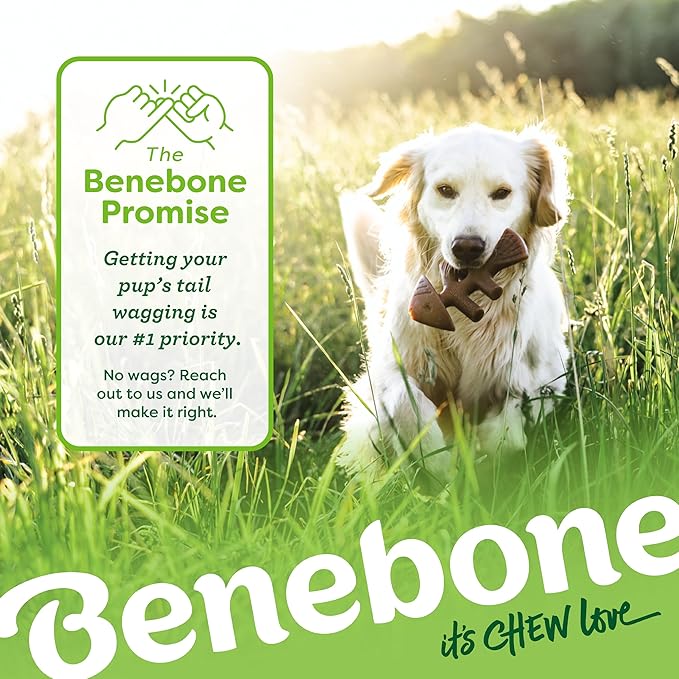 Benebone Large 4-Pack Dog Toys for Aggressive Chewers – Durable Dog Bones, Made in USA – Dog Toys for Large Dogs Under 90 lbs