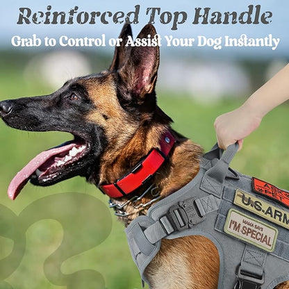rabbitgoo Tactical Dog Harness for Small, Heavy Duty Pet Harness with Handle, No-Pull Service Vest Small Breed, Adjustable Military Dog Vest for Training Hunting Walking, Grey, S