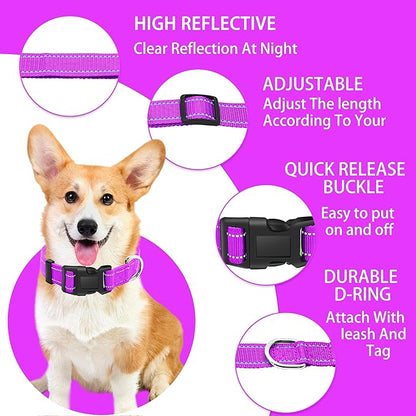 Reflective Dog Collar with Safety Locking Buckle, Adjustable Soft Breathable Nylon Collars for Small, Medium and Large Dogs(Collar+Leash M Rosered)
