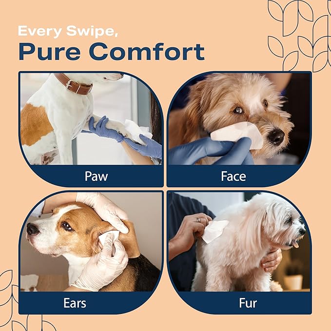 Dog Wipes for Paws and Butt - Plant Based Unscented (Pack of 400) - Pet Wipes for Dogs and Cats - Deodorizing Non Toxic Dog Wipes, +12 Additional Travel Wipes