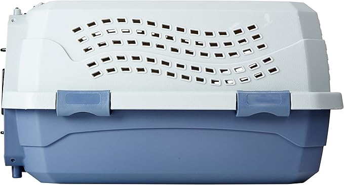 Amazon Basics 2-Door Top-Load Hard-Sided Pet Travel Carrier for Cats and Small Dogs, 19" L x 12.6" W x 10" H, Gray & Blue