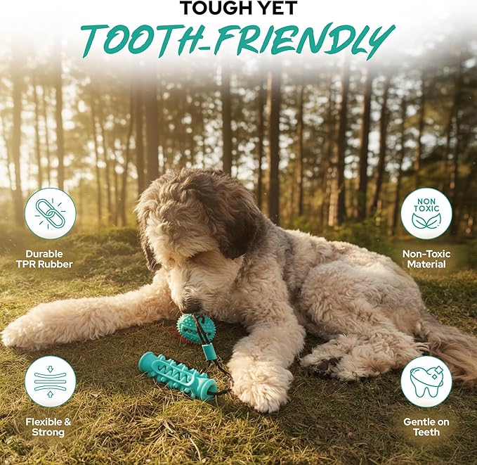Dog Ball with Rope – Durable TPR Chew Toy for Tug, Fetch & Dental Cleaning – Treat Dispensing Interactive Toy for Small, Medium & Large Dogs – Indoor Outdoor Play Training by Tail Town