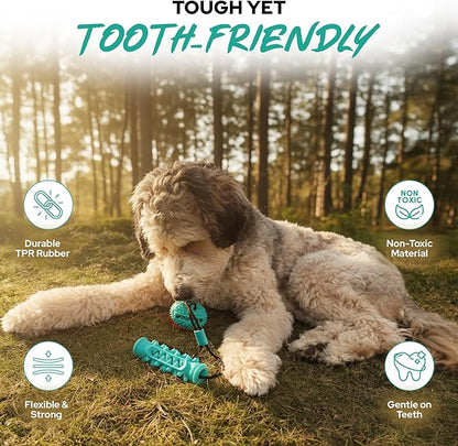 Dog Ball with Rope – Durable TPR Chew Toy for Tug, Fetch & Dental Cleaning – Treat Dispensing Interactive Toy for Small, Medium & Large Dogs – Indoor Outdoor Play Training by Tail Town
