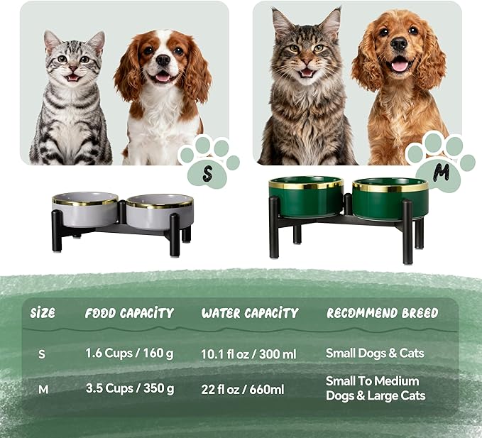 Elevated Ceramic Dog Bowl Set - Double Dishes with Stainless Steel Stand – Raised Feeding Bowls for Cats and Small Dogs - Food & Water Set - 5" / 1.6 Cups (160 g / 300 ml) - Green