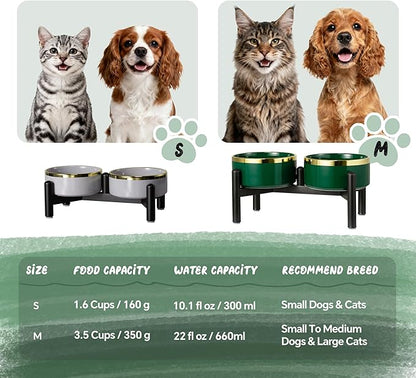 Elevated Ceramic Dog Bowl Set - Double Dishes with Stainless Steel Stand – Raised Feeding Bowls for Cats and Small Dogs - Food & Water Set - 5" / 1.6 Cups (160 g / 300 ml) - Gray