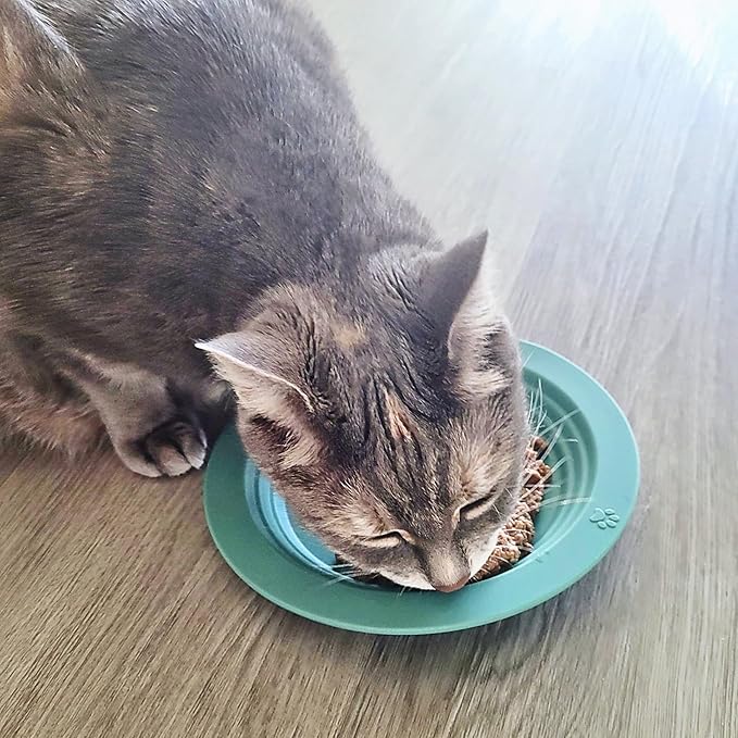 EcoLeo Whisker Friendly Cat Food Dish, Platinum Silicone, CKD, LFGB Certified Non-Toxic, Anti Whisker Fatigue, Low Profile, Shallow, Non Slip, Cat Dog Kitten Feeding Dish_Grey