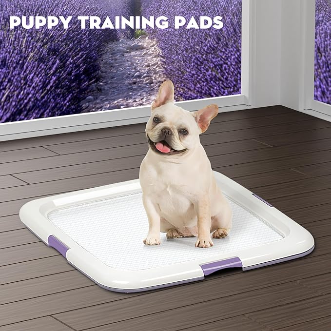 CROCI 22x22in Puppy Pads 100 Count with Adhesive Tabs, Dog Pads Absorbs Up to 3 Cups Potty Training, Disposable