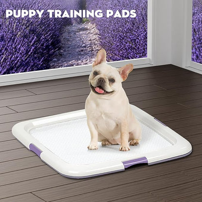 CROCI 22x22in Puppy Pads with Adhesive Tabs, Dog Pee Pads Absorbs Up to 3 Cups Potty Training, Disposable (50 Counts)