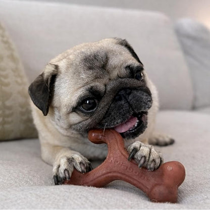 Nylabone Strong Chew Wishbone Dog Toy Made with Real Bacon, Durable Chew Toys for Aggressive Chewers, Long Lasting Dog Bone, Keeps Dogs Busy, Small Breeds - Up to 25 lbs