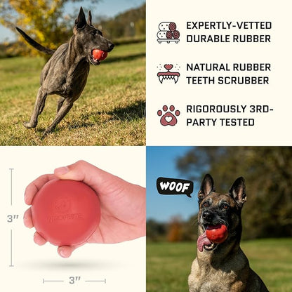 Virtually Indestructible Dog Ball - Lifetime Replacement - Tough, Durable Chew Toy for Aggressive Chewers - Safe Non-Toxic Natural Rubber - Chew & Fetch - Med/Large Breed, 3" - Beef Scent