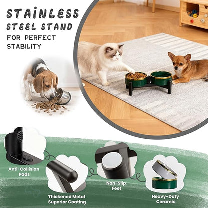 Elevated Ceramic Dog Bowl Set - Double Dishes with Stainless Steel Stand – Raised Feeding Bowls for Cats and Small Dogs - Food & Water Set - 5" / 1.6 Cups (160 g / 300 ml) - Green