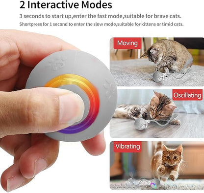 Quibron Interactive Cat Ball Toy with Flashing Lights & Bird Sounds - Multi-Surface Adaptive Roller, USB Rechargeable Motion-Activated Cat Teaser for Indoor Cats, Smart Enrichment Gift (Grey)