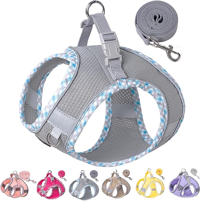 Petank Dog Harness for Small Medium Dogs No Pull, Puppy Harness and Leash Set for Walking, Running, Training, Small Dog Harness, Medium Dog Harness (Grey, S)