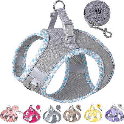 Petank Dog Harness for Small Medium Dogs No Pull, Puppy Harness and Leash Set for Walking, Running, Training, Small Dog Harness, Medium Dog Harness (Grey, S)