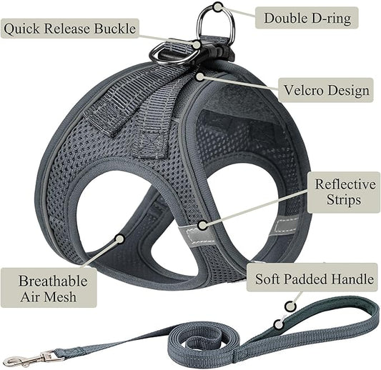 Dog Harness with Leash Set, No Pull Adjustable Reflective Step-in Puppy Pet Vest Harnesses for Small Medium Large Dogs and Cats,Grey XXS