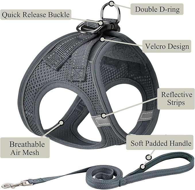 Dog Harness with Leash Set, No Pull Adjustable Reflective Step-in Puppy Pet Vest Harnesses for Small Medium Large Dogs and Cats,Grey XS
