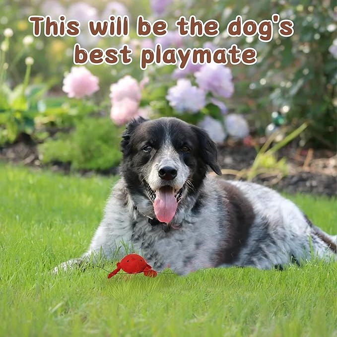 Squeaky Dog Toys to Keep Them Busy Squeaky Dog Toys with Soft Fabric, for Small Dogs for Daily Interaction, Companion Training 1Pcs (Lobster)
