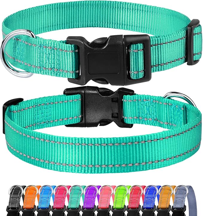 FunTags Reflective Dog Collar, Sturdy Nylon Collars for Large Girl and Boy Dogs, Adjustable Dog Collar with Quick Release Buckle, Turquoise