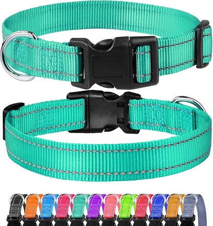 FunTags Reflective Dog Collar, Sturdy Nylon Collars for Puppy and Extra Small Girl and Boy Dogs, Adjustable Dog Collar with Quick Release Buckle,Turquoise,5/8" Width