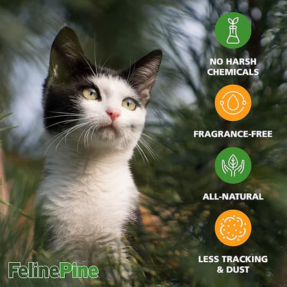 Feline Pine Platinum Non-Clumping Cat Litter, Feline Pine Cat Litter, 18lb (Pack of 2)