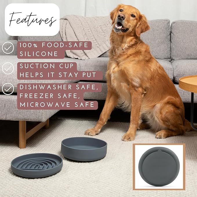 Should We Go? Slow Feeder for Dogs & Puppies, The Slowdown Bowl Silicone Slow Eating, Modern Lick Mat Design, Reduces Gulping, Fits 2.5 Cups, 9.5” Across x 1.5” Tall, Mealtime Challenge, Large-Blush