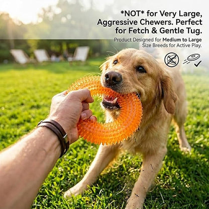 ADUCK Dog Squeaky Chew Toys for Aggressive Chewers, Small Medium Large Dogs Teeth Cleaning Soft Natural Rubber Float Toy for Indoor Outdoor Water Pool, Donut Ring Design 4.92 inch, Crystal Orange