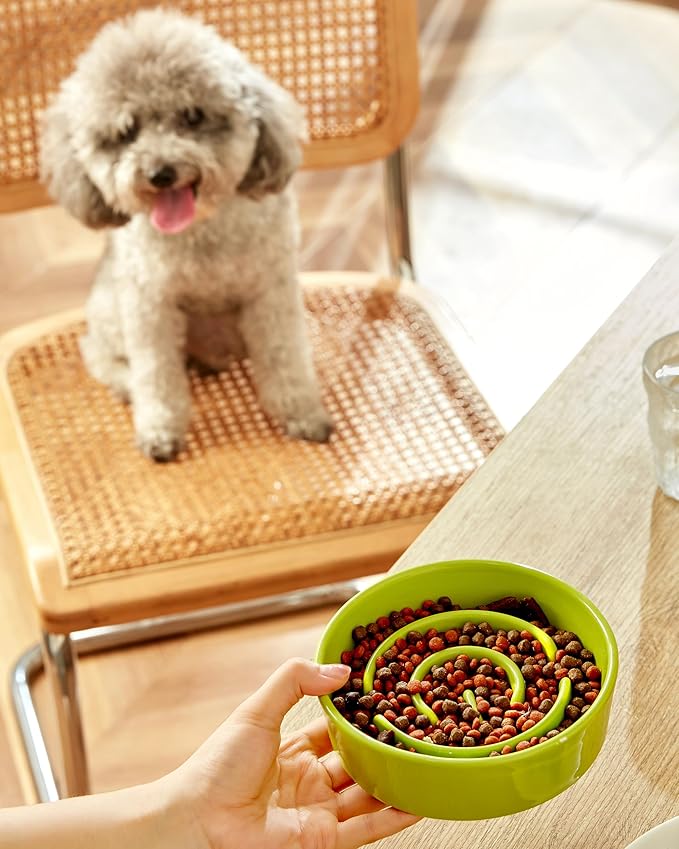 Ceramic Slow Feeder Dog Bowls, 0.6 Cup Slow Feeder for Small Dogs, Puzzle Maze Bowl, Prevents Choking, 6in, Green
