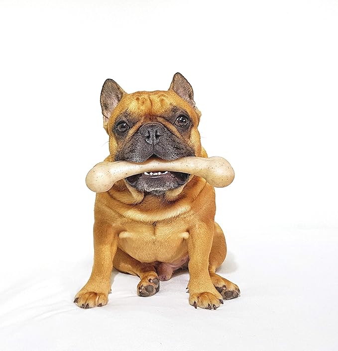 Pet Qwerks Original BarkBone - Nylon Dog Bone for Aggressive Chewers - BBQ Flavor - 6.1", Medium breed