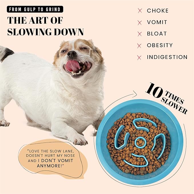 AVERYDAY Slow Feeder Dog Bowls for Medium Breeds Fits Raised Feeding Station, Puzzle Dog Food Bowls to Slow Down Eating, Dogs Feeding Bowl with Non-Slip, Slows Feeder Pet Bowl for Wet and Dry Food