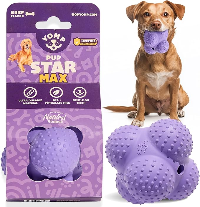 Yomp PupStar MAX Dog Toy – Star-Shaped, Bouncing Ball with Nubbins for Dental Health, Dishwasher Safe, Fun Bounce Path, Made of Non-Toxic, All-Natural Rubber