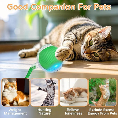 2025 New 1Pack Cat Ball Kitten Toys for Indoor Interactive Kitty Ball Toy Speedy Tail 360° Automatic Rolling for Dog, Cat(Green)