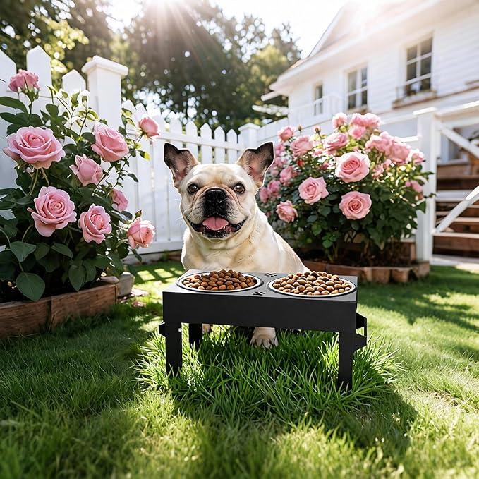 Elevated Dog Bowls, 4 Height Adjustable Raised Bowl Stand with 2 Stainless Steel 7" Food Feeder Bowls for Small Medium and Large Dogs （Plastic）