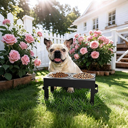 Elevated Dog Bowls, 4 Height Adjustable Raised Bowl Stand with 2 Stainless Steel 7" Food Feeder Bowls for Small Medium and Large Dogs （Plastic）